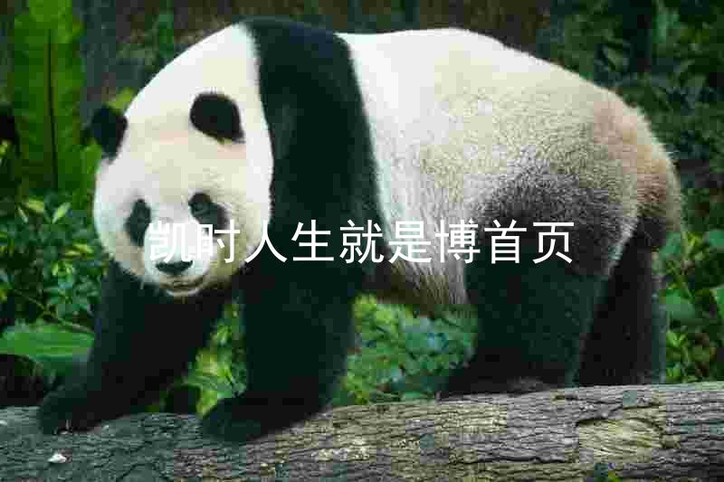 凯时人生就是博首页