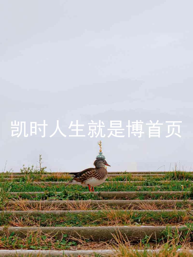 凯时人生就是博首页